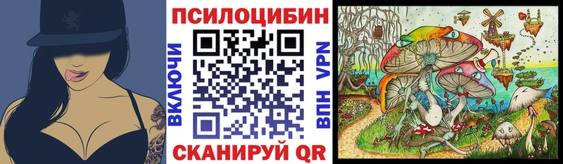 OMG как войти Альметьевск Псилоцибиновые грибы Cubensis