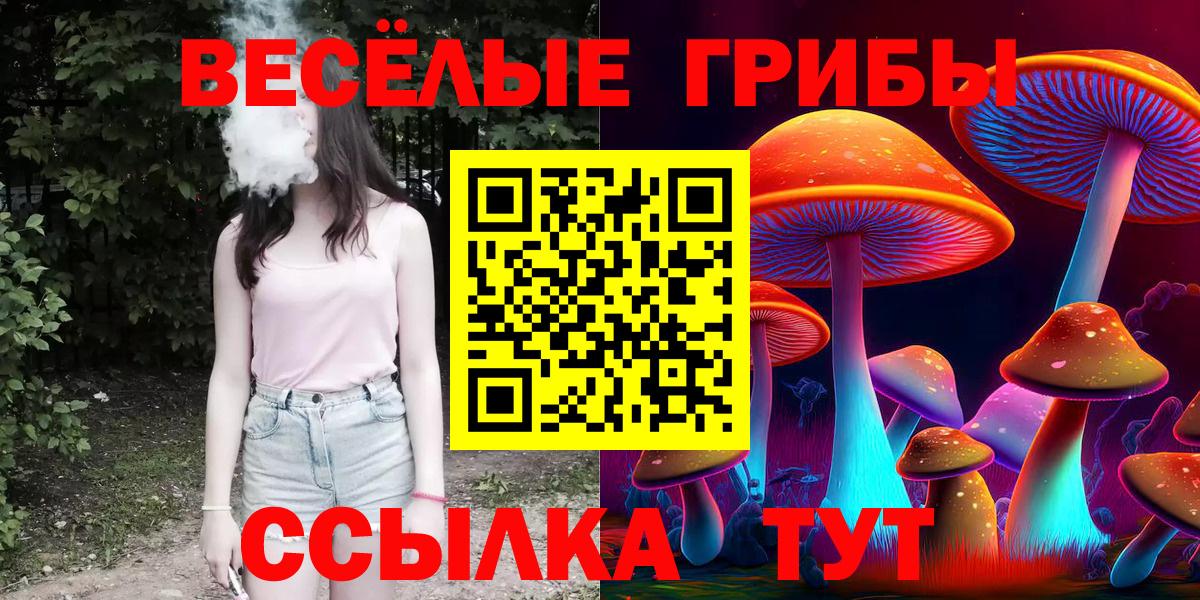 Альметьевск  Галлюциногенные грибы GOLDEN TEACHER  Галлюциногенные грибы прущие грибы  Вход с VPN 