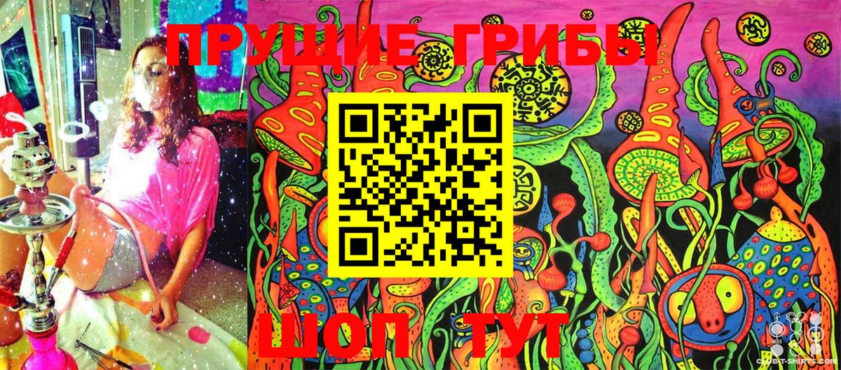 Псилоцибиновые грибы Cubensis Альметьевск